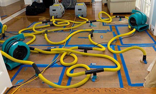 Professional Basement Flood Cleanup technician working in Hickory Valley, TN